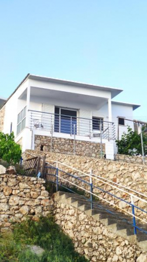 Vila Andoni